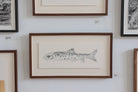 Trout by Beatrice Forshall