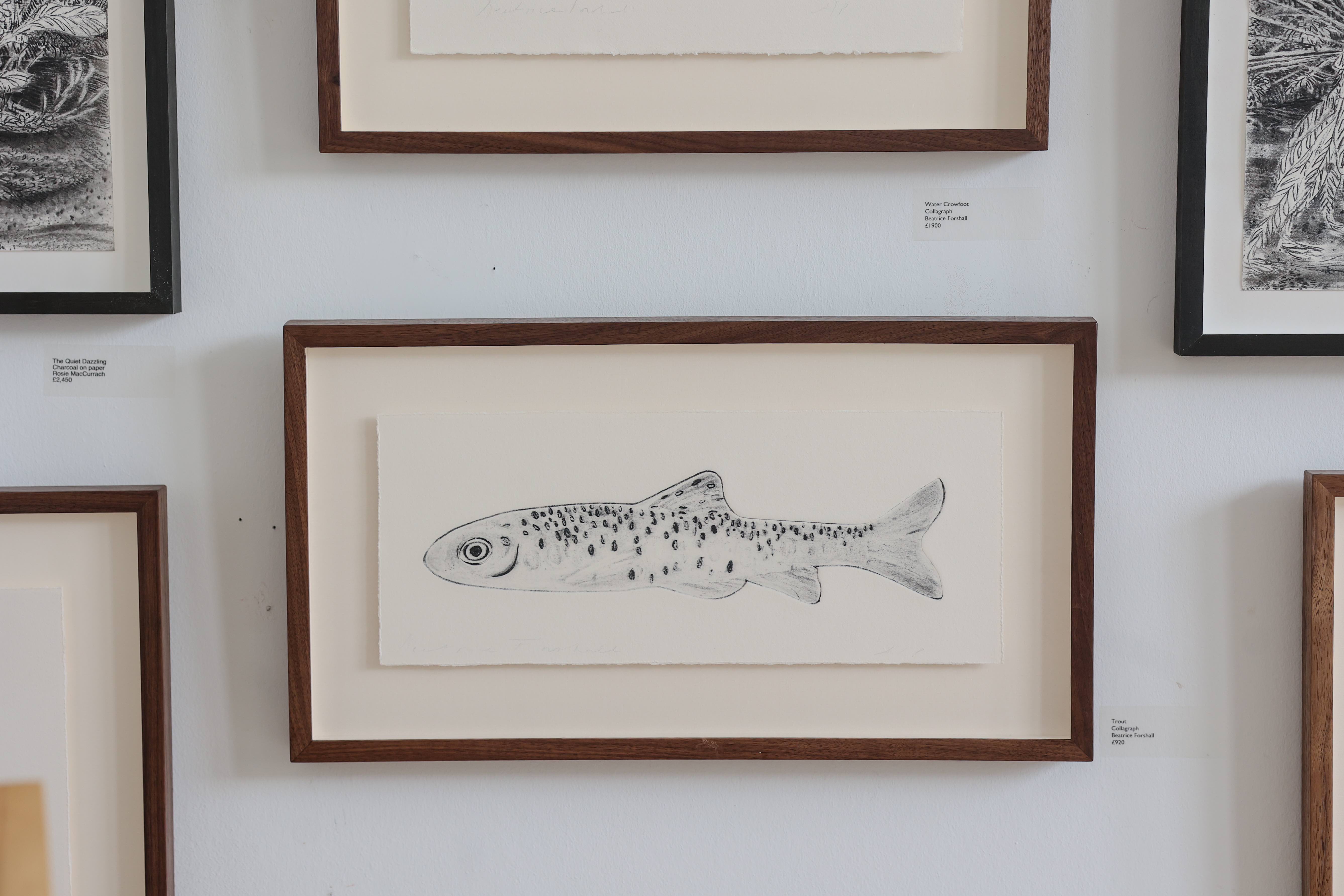 Trout by Beatrice Forshall