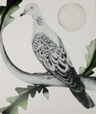 Turtle Dove by Beatrice Forshall