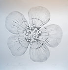 Water Crowfoot by Beatrice Forshall