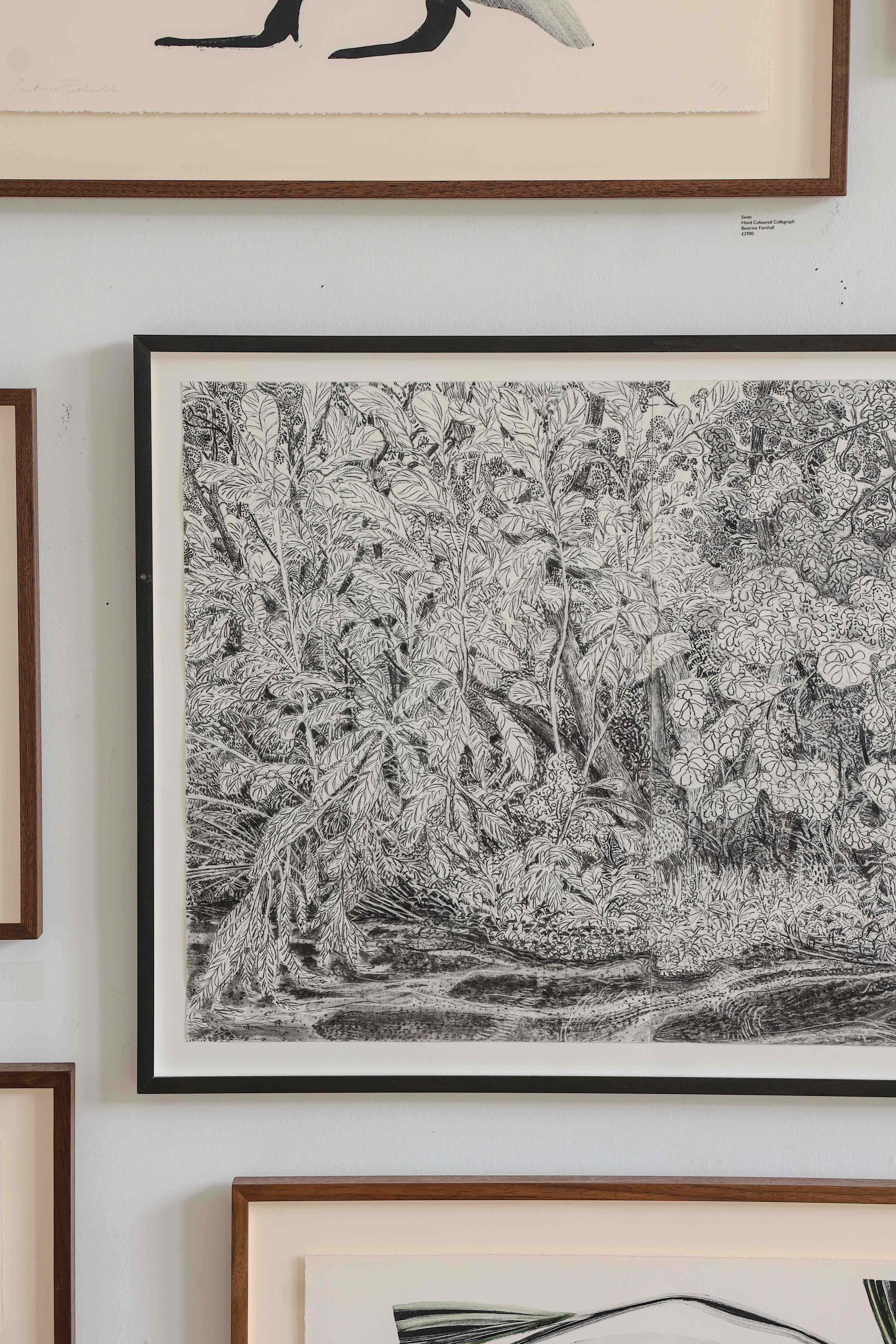 Water Forest by Rosie MacCurrach