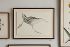 Water Rail by Beatrice Forshall