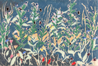 Wildflowers and butterflies, Cholderton II by Sally Newton