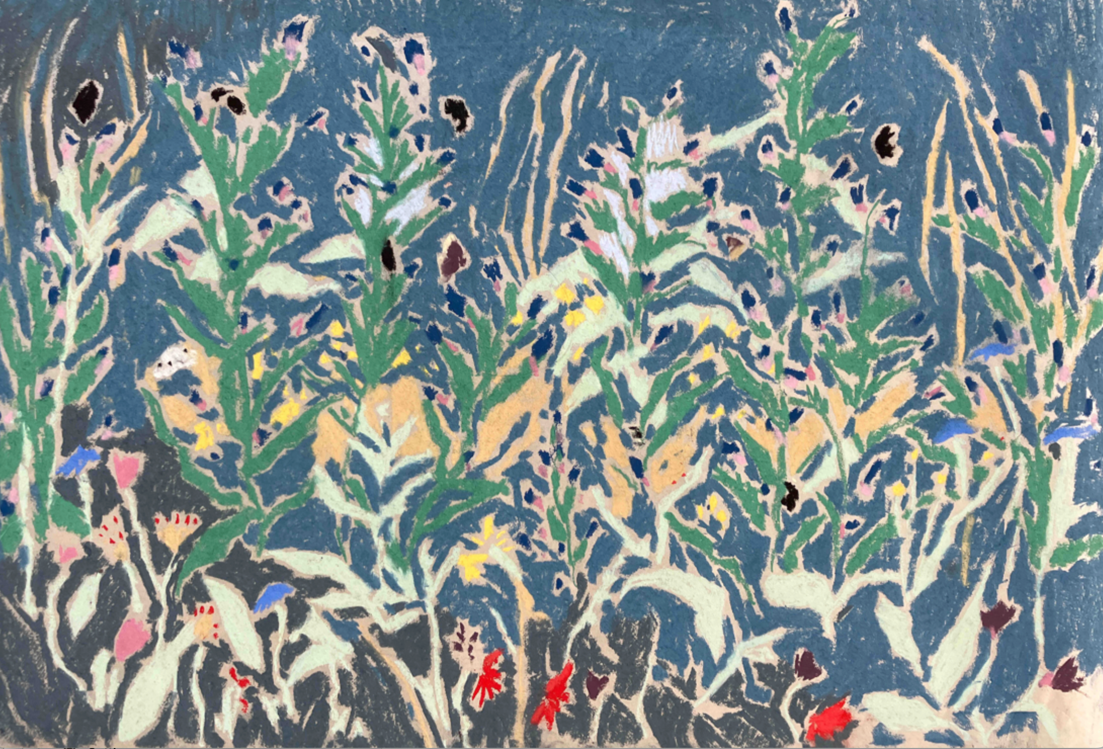 Wildflowers and butterflies, Cholderton II by Sally Newton