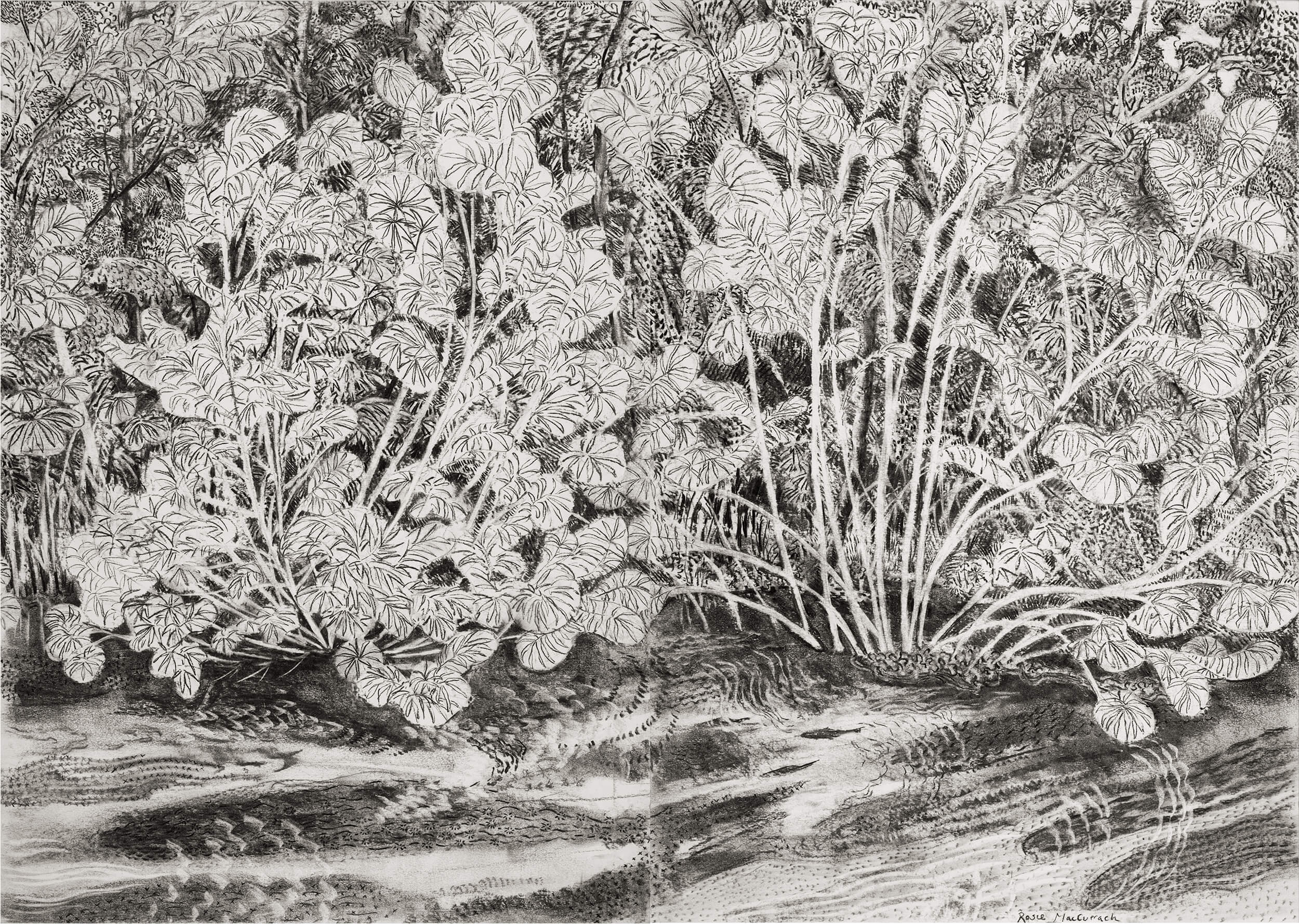 Willow, Chalk and River by Rosie MacCurrach
