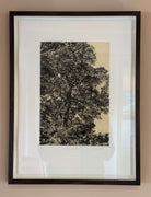 Autumn Light by Fiona Hamilton