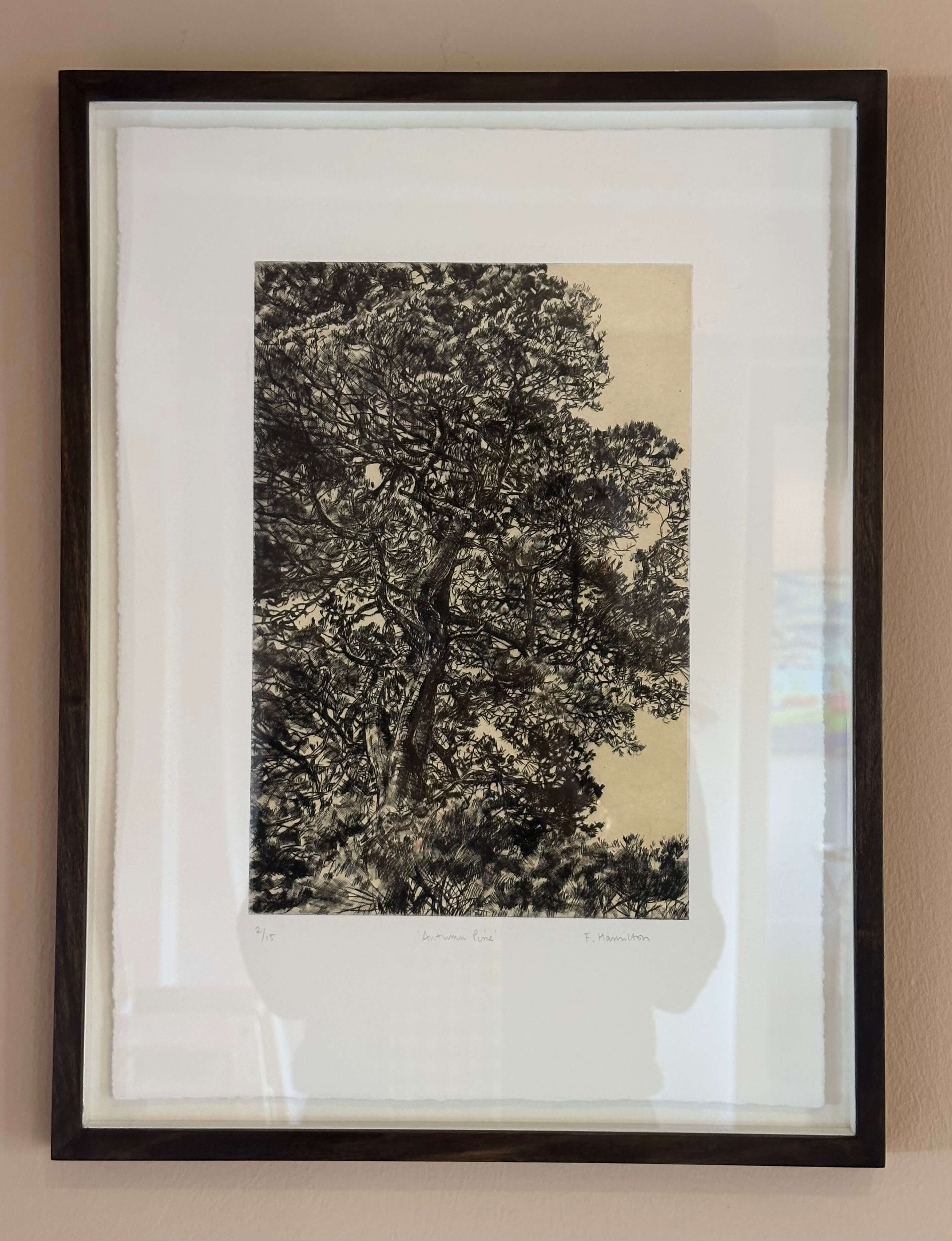 Autumn Light by Fiona Hamilton