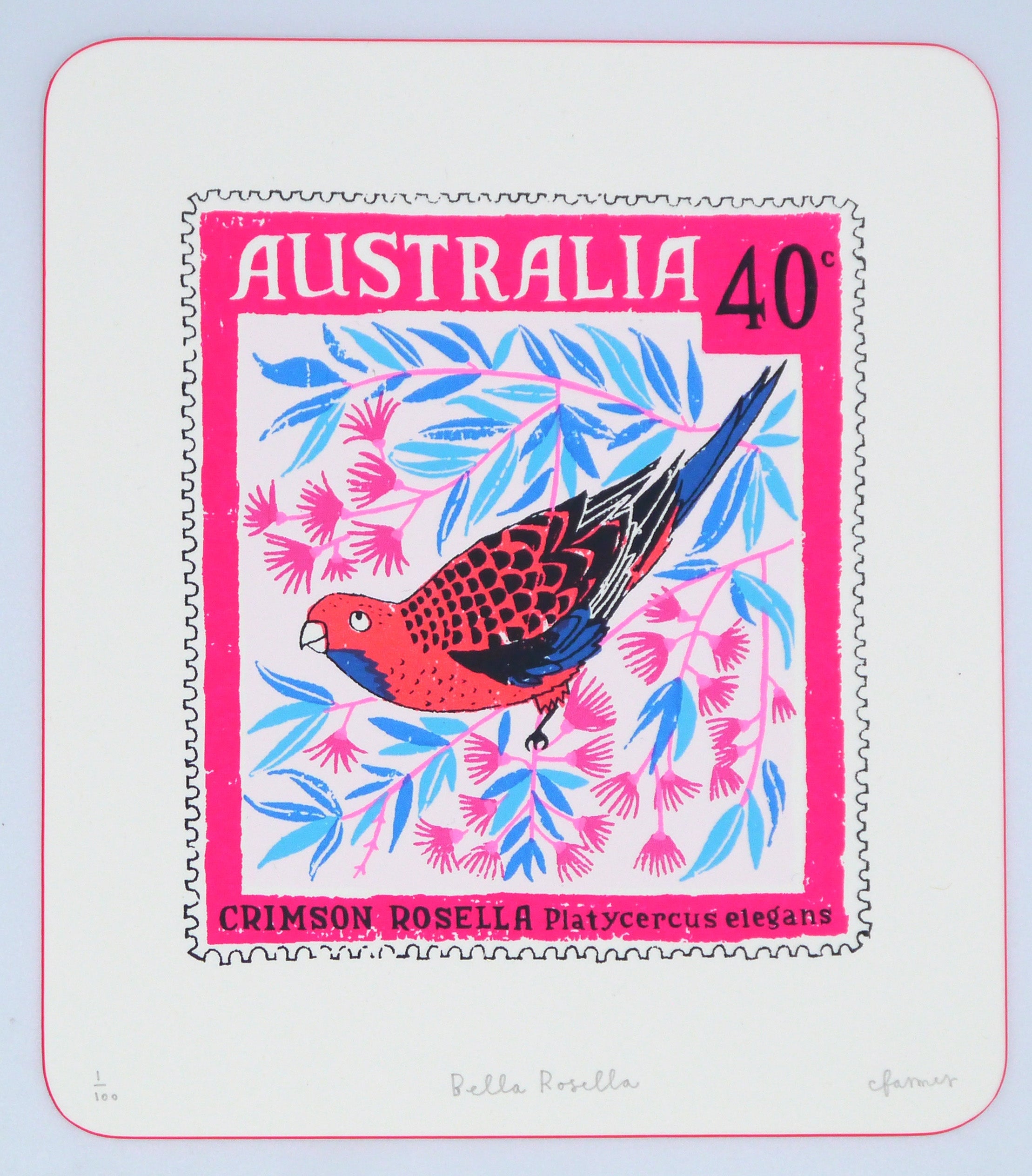 Bella Rosella by Charlotte Farmer