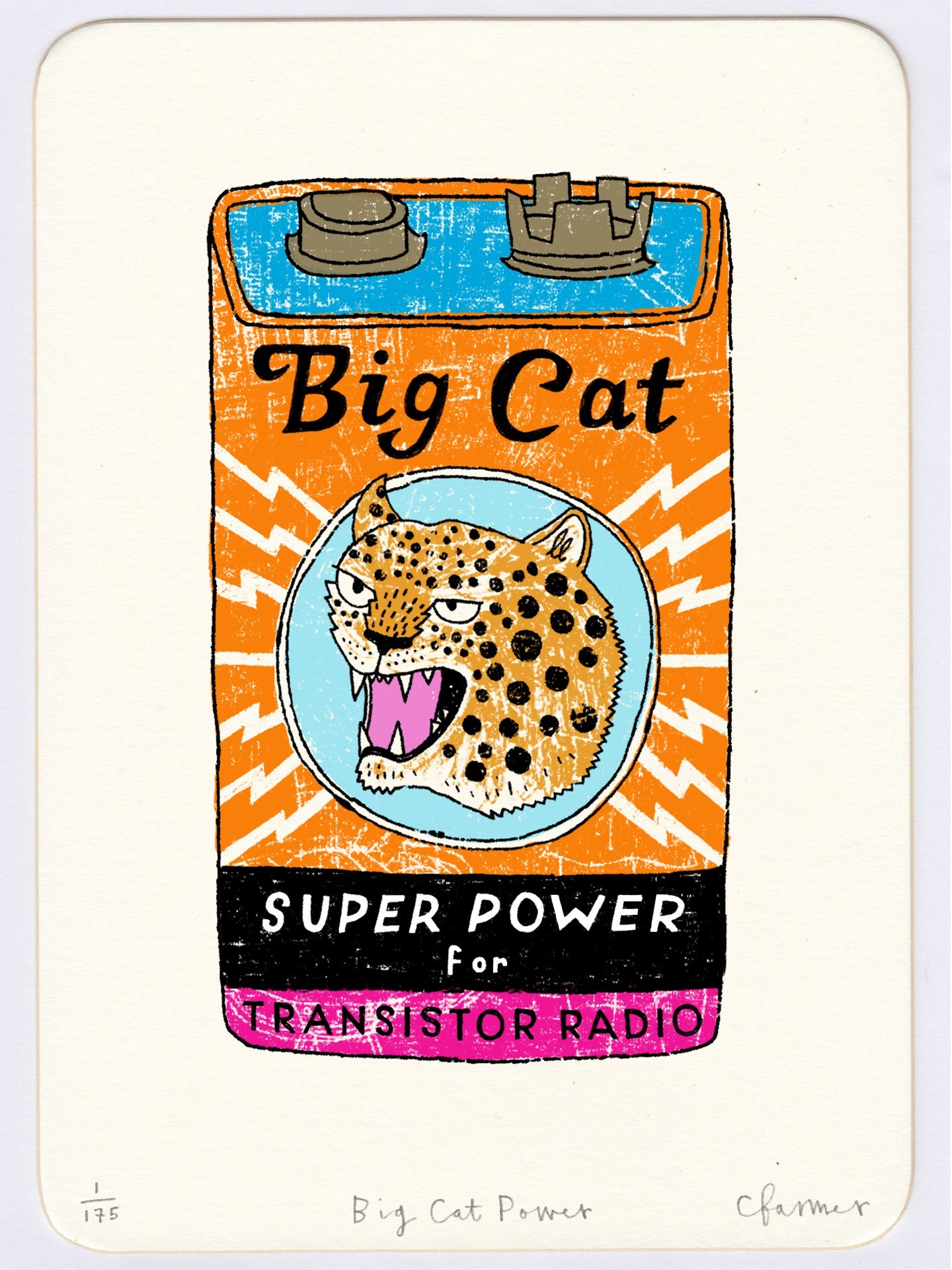 Big Cat Power by Charlotte Farmer