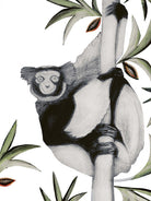 Black & White Ruffed Lemur by Beatrice Forshall