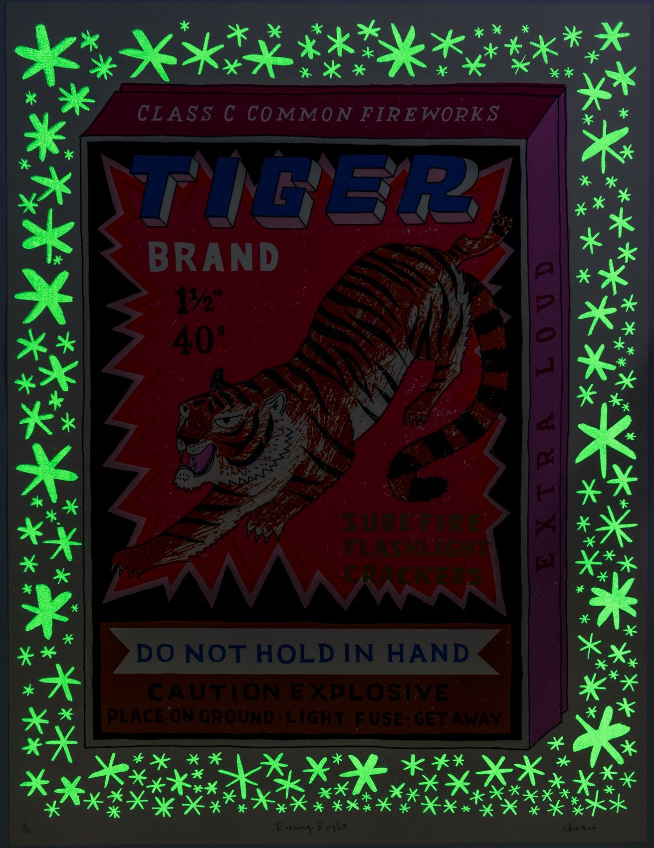 Burning Bright (glowing in the dark) by Charlotte Farmer