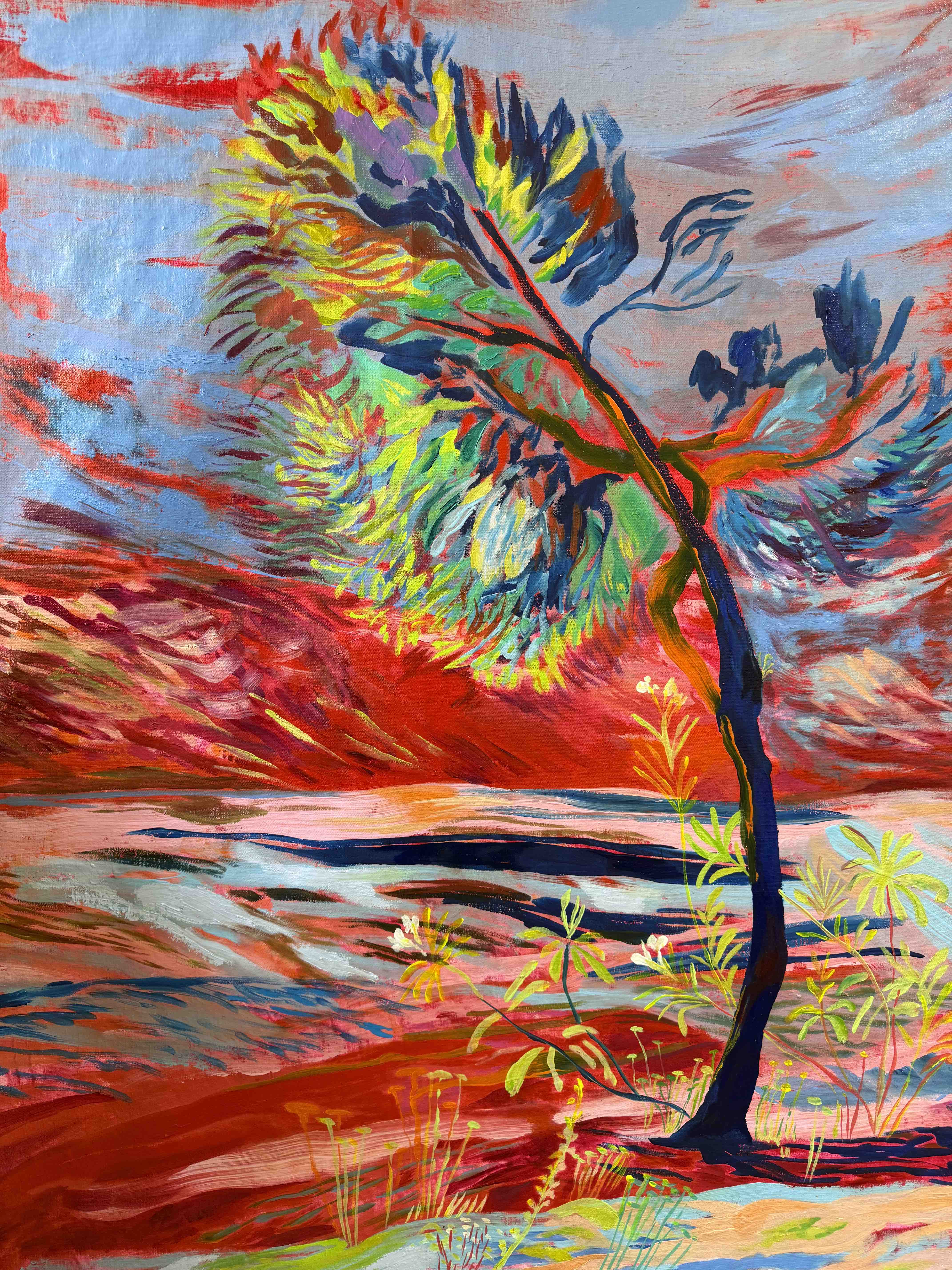 Cala Llevado Pine by Hannah Rollings