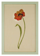 Dancing Tulip No.1 by Natasha Hulse depicting framed artwork of a red flower with green stem on beige background