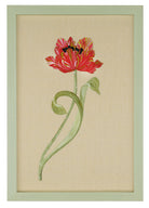 Dancing Tulip No.2 by Natasha Hulse depicting framed artwork of a red flower with green leaves on a beige background