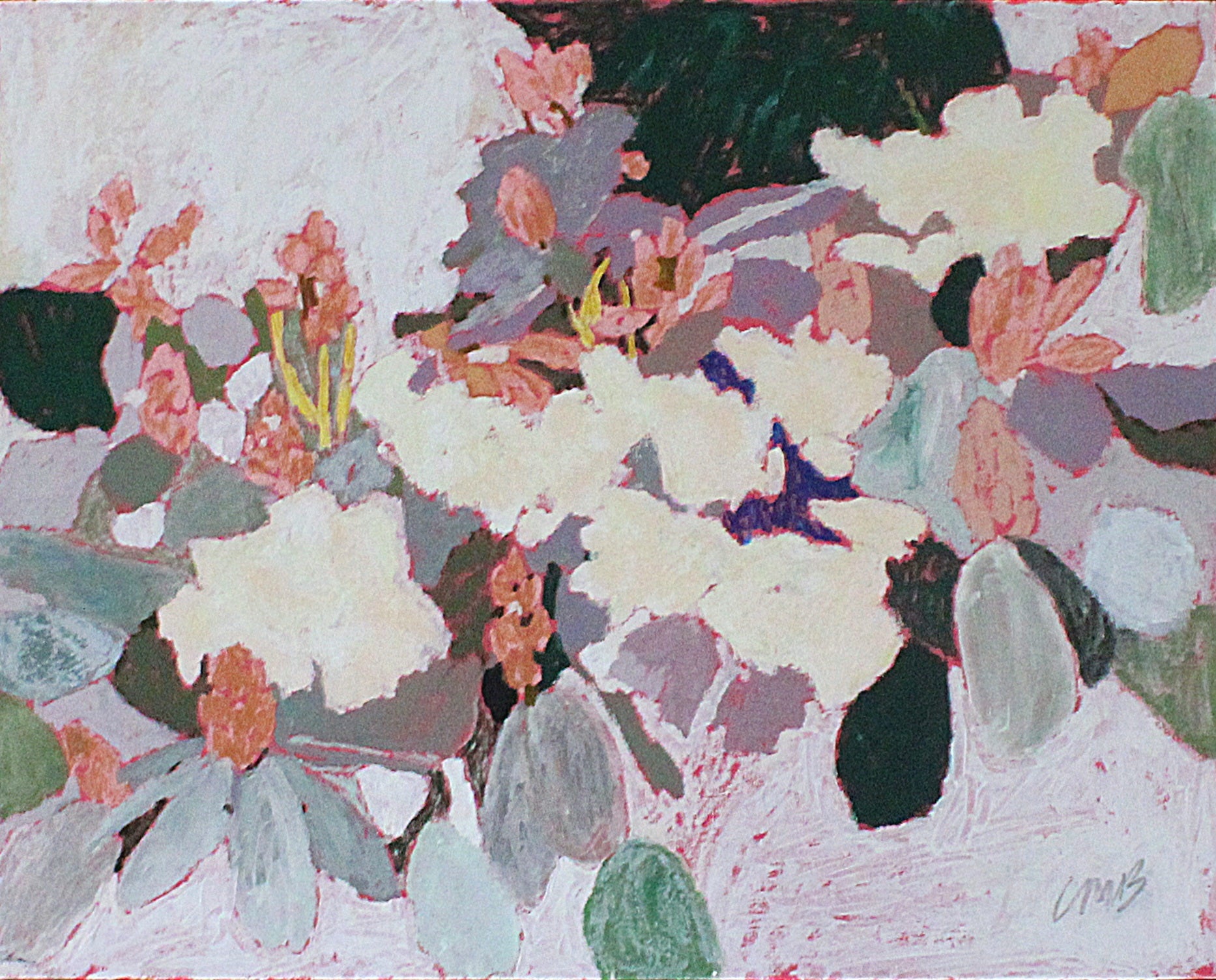 Fiji Blossom by Eva Ray