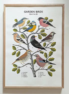 Garden Birds School Chart by Tom Frost