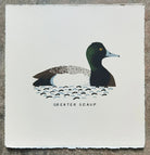 Greater Scaup by Tom Frost