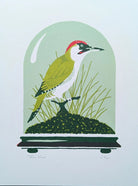 Green Woodpecker by Tom Frost