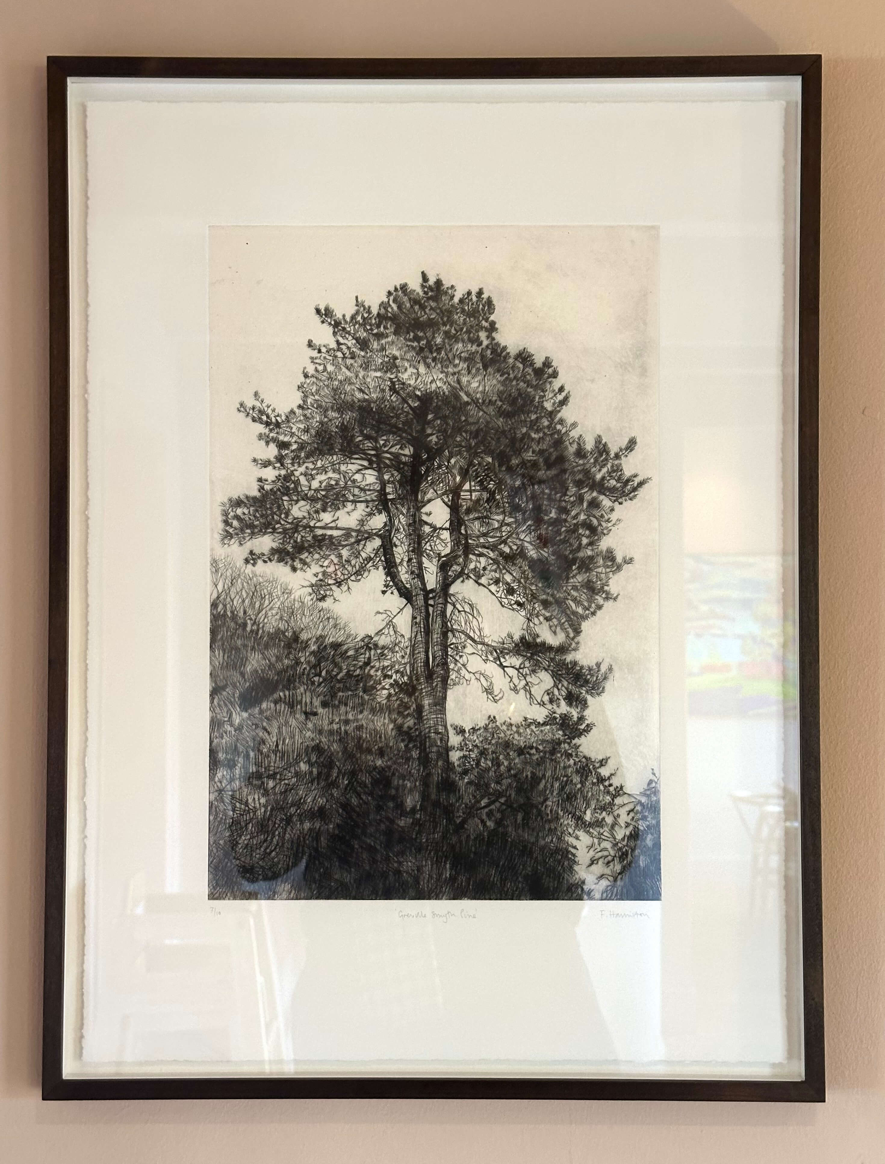 Greville Smyth Pine by Fiona Hamilton