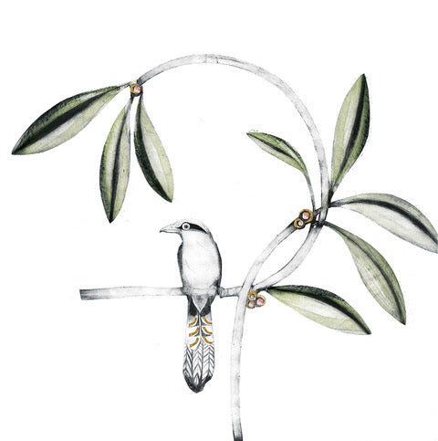 Javan Green Magpie by Beatrice Forshall