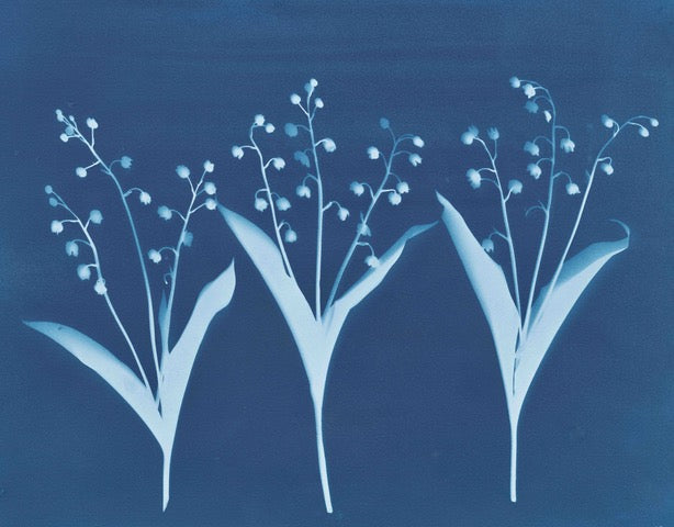 Lily of the Valley (triptych) by Carrie Lees