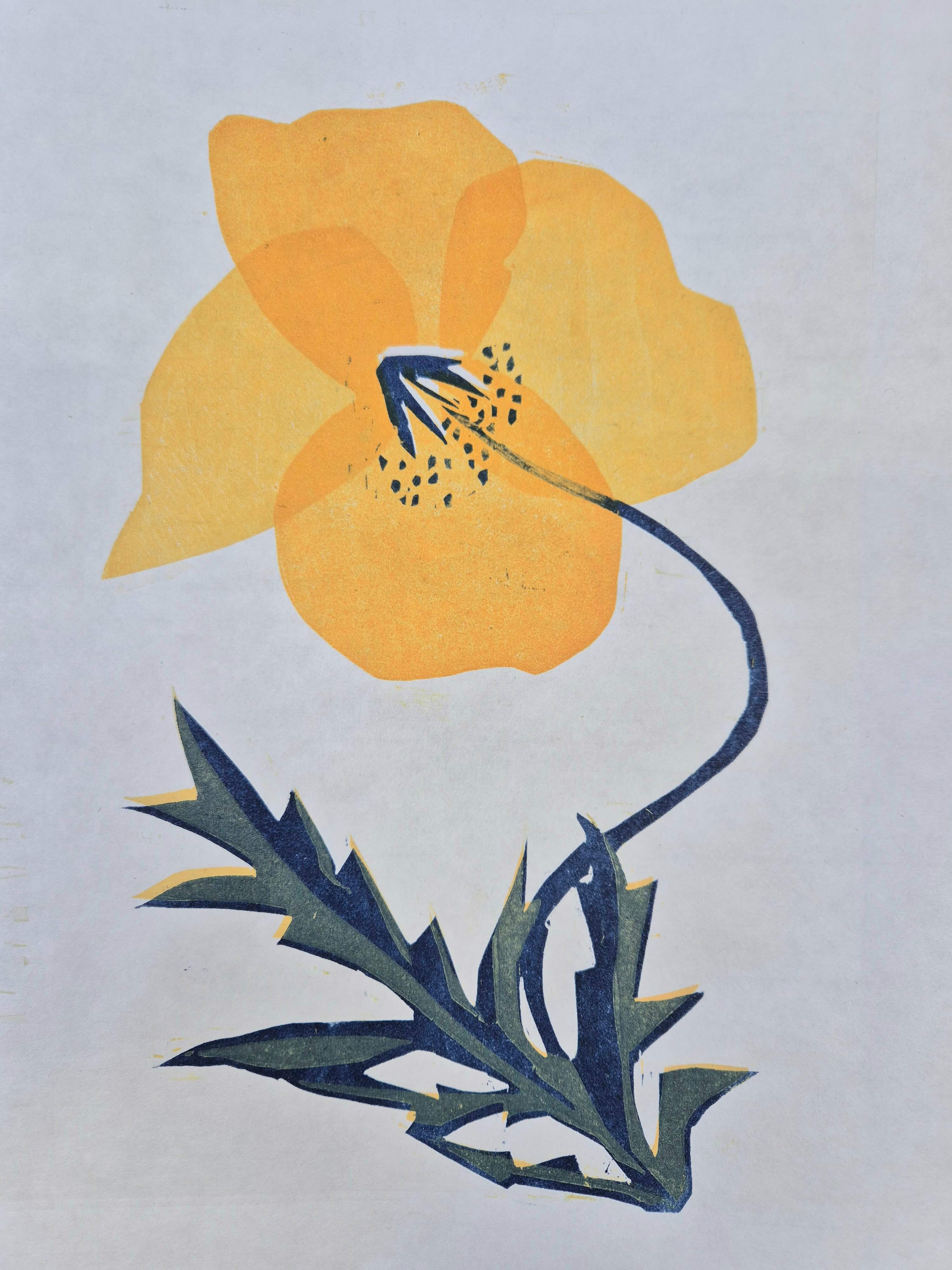 Papaver Rupifragum by Lisa Takahashi