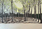 Parque de la Devesa by Lizbeth Holstein depicting a trees with shadows on the ground