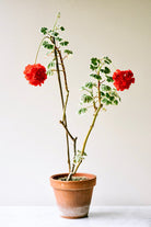 Red Triptych III by Carrie Lees