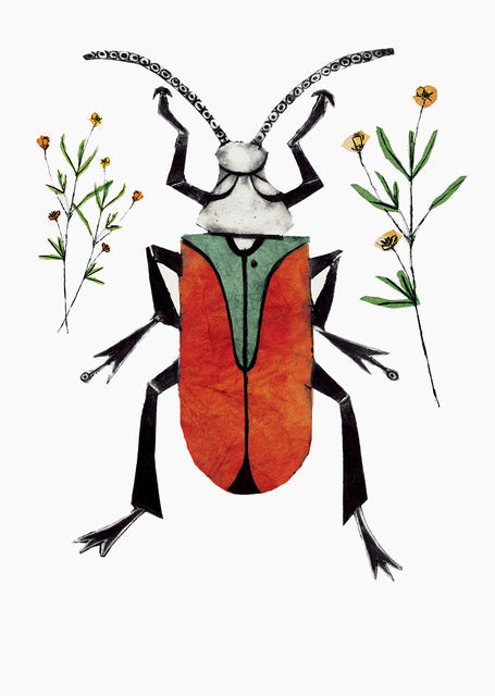 Scarlet Malachite Beetle by Beatrice Forshall