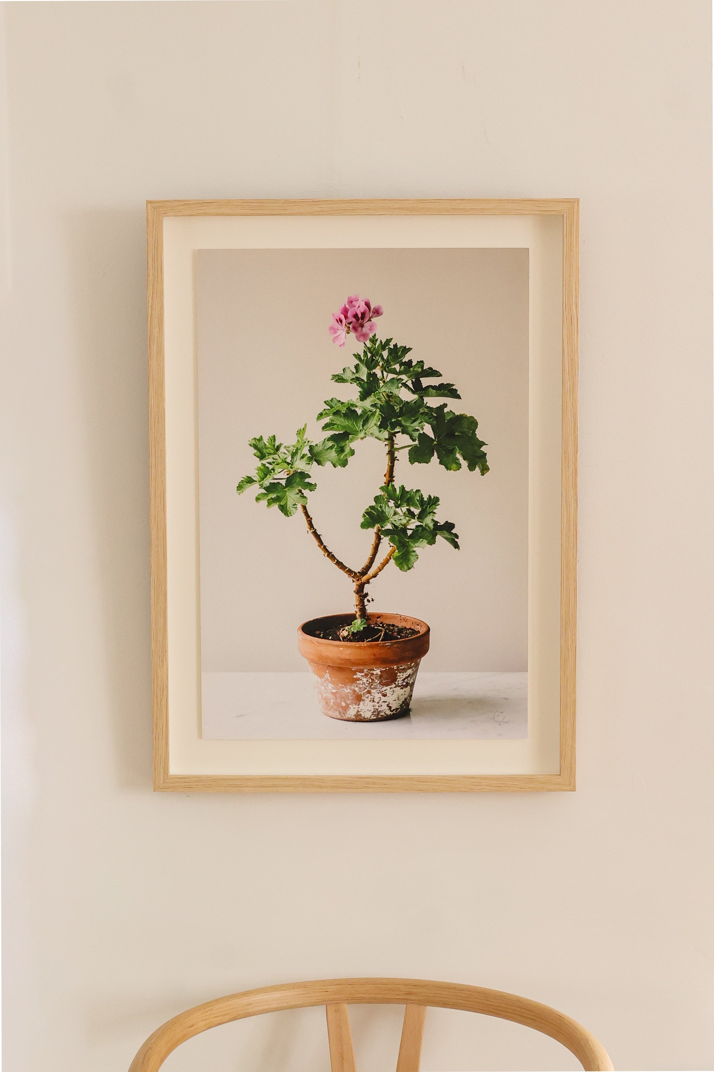 Single Pink Pot by Carrie Lees