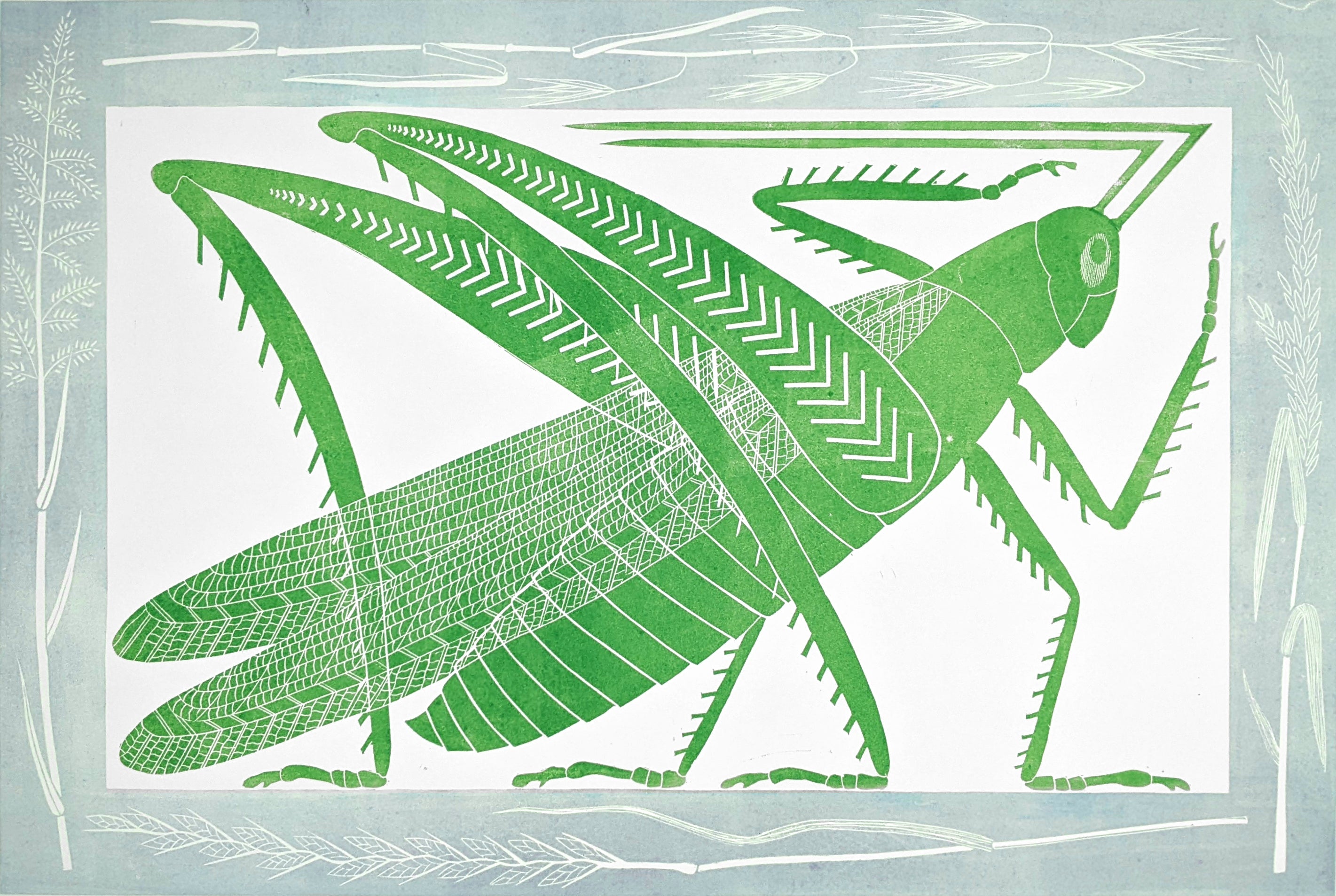 The One Who Has Flung Herself Out of the Grass by Lizzie Wheeler depicting a green grasshopper illustration on a light blue background