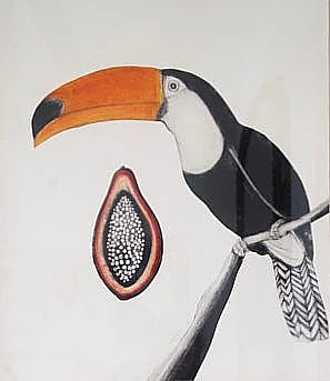 Toco Toucan by Beatrice Forshall