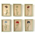 The Tulip Series by Natasha Hulse. Set of six framed floral artworks on a white wall. 