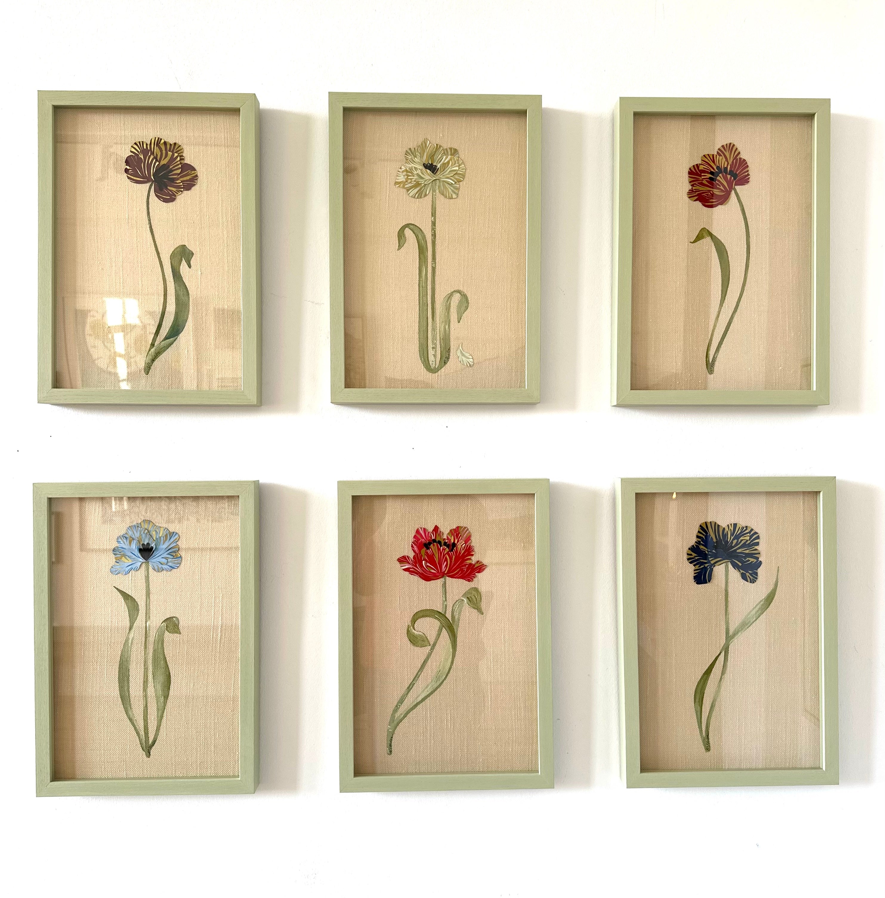 The Tulip Series by Natasha Hulse. Set of six framed floral artworks on a white wall. 